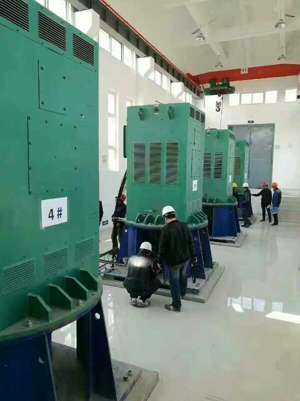 梓潼某污水处理厂使用我厂的立式高压电机安装现场